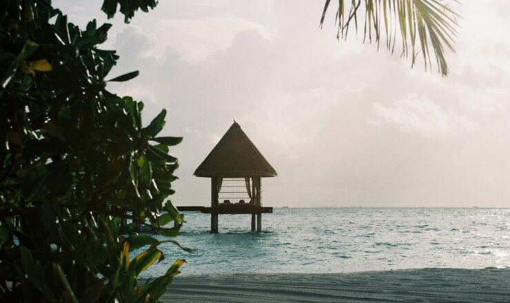 Things To Check Before Renting A Property